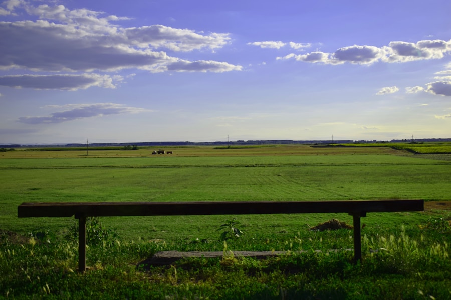 Alone in a Crowd: The Emotional Pain of Loneliness