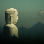 Embracing Life’s Challenges: Wisdom from Buddhist Quotes on Suffering