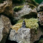 Exploring the Mind-Boosting Benefits of Embracing Buddhist Happiness Quotes