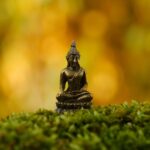 Healing from Toxic Relationships: Buddhist Quotes on Suffering and Compassion