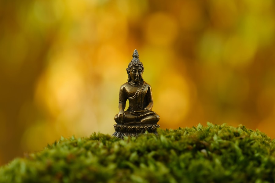 Healing from Toxic Relationships: Buddhist Quotes on Suffering and Compassion