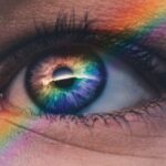 Eyes Wide Shut: Understanding the Impact of Narcissism on Vision